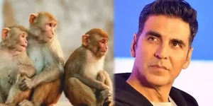 akshay kumar monkey