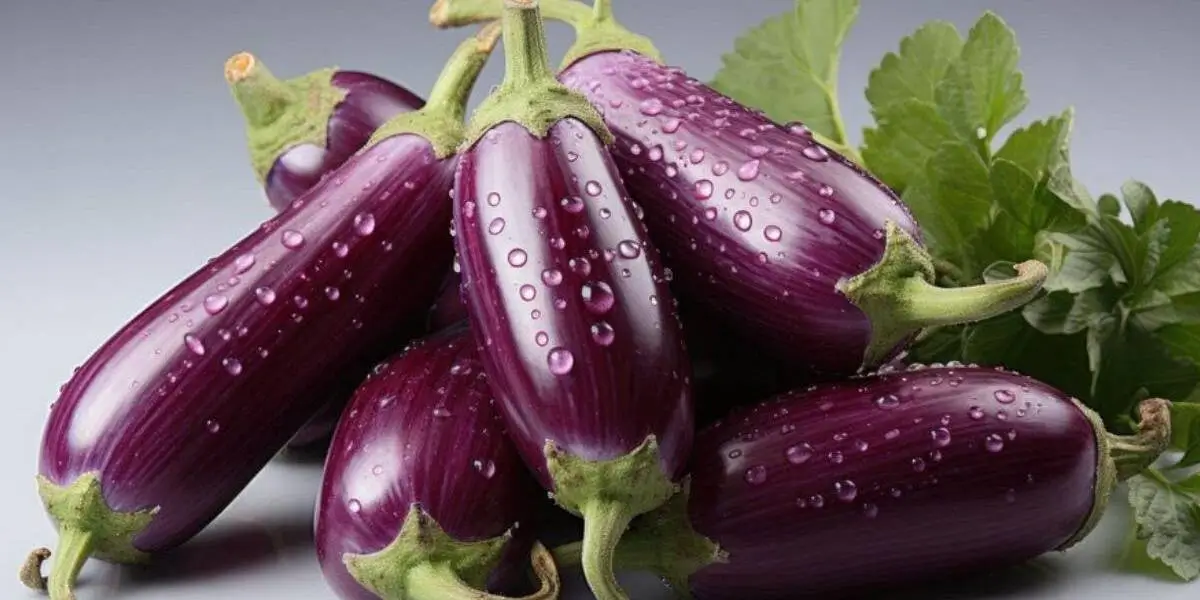 birinjal (1)