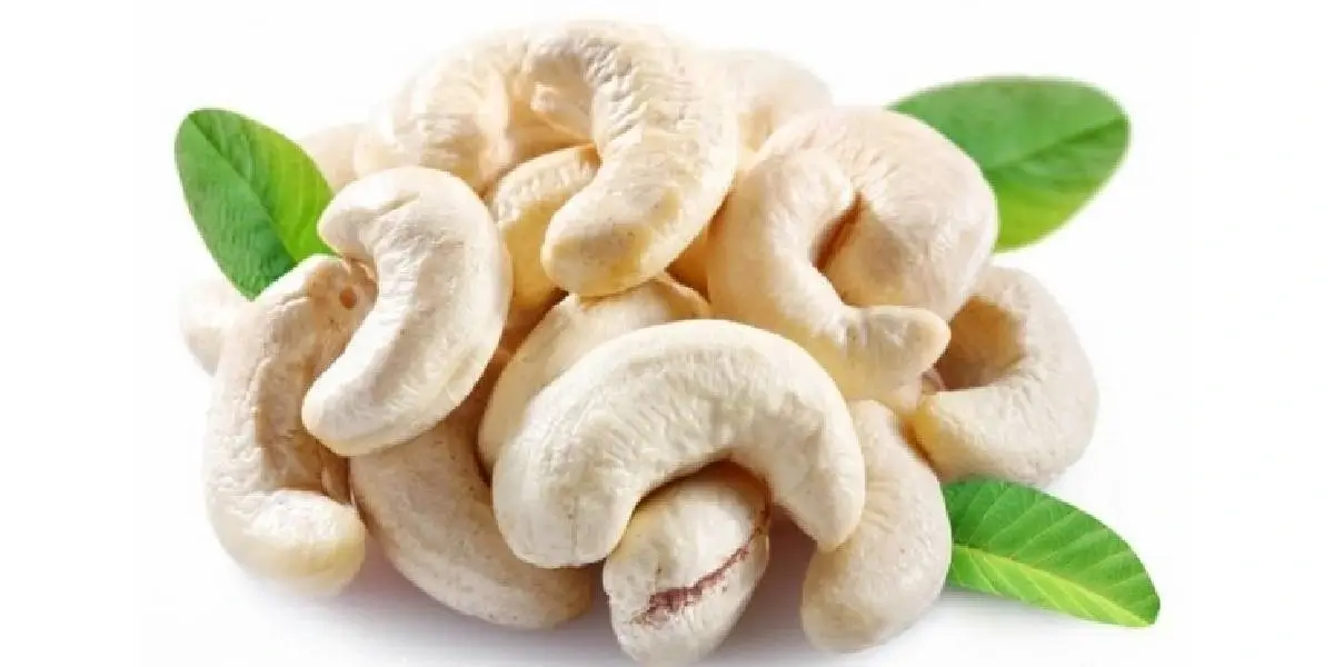 cashew (1)