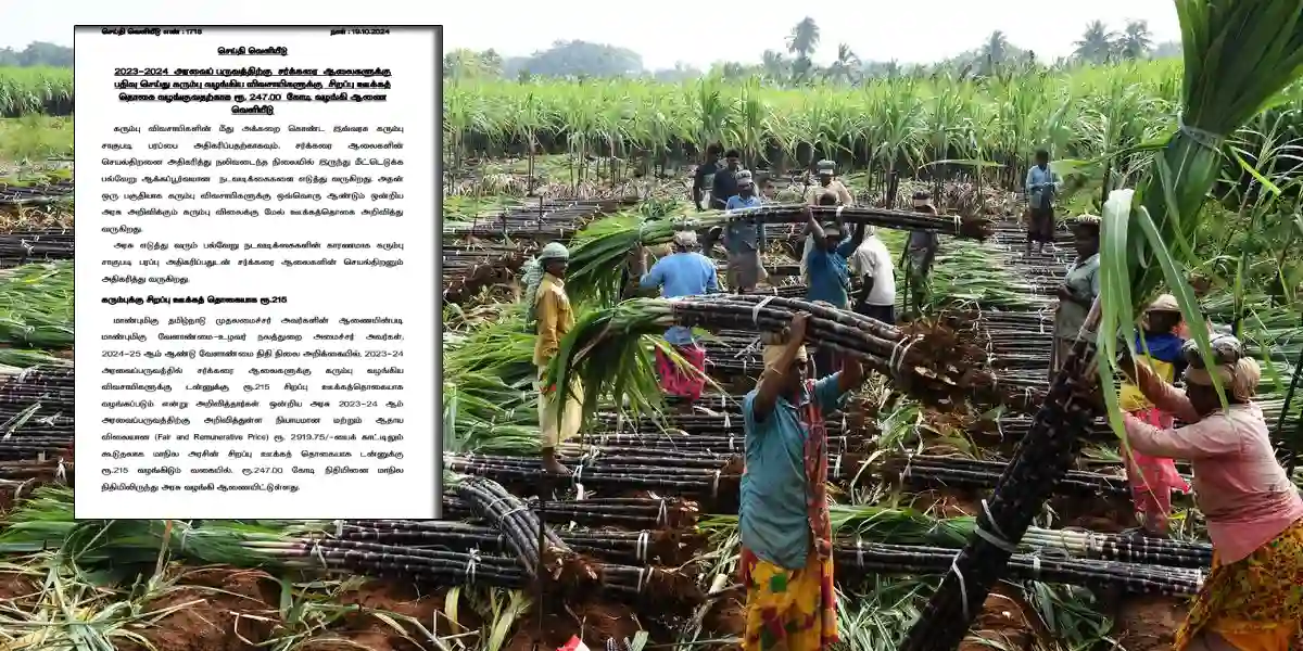 tn government - Sugarcane farmer (1)