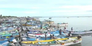 Fishermen Cyclone