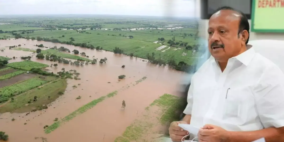 Heavy rain Crop damage in Tamilnadu - Minister MRK Panneerselvam