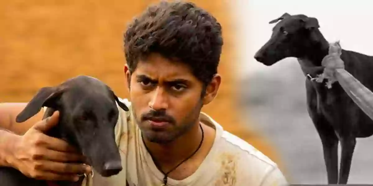 Pariyerum Perumal dog RIP