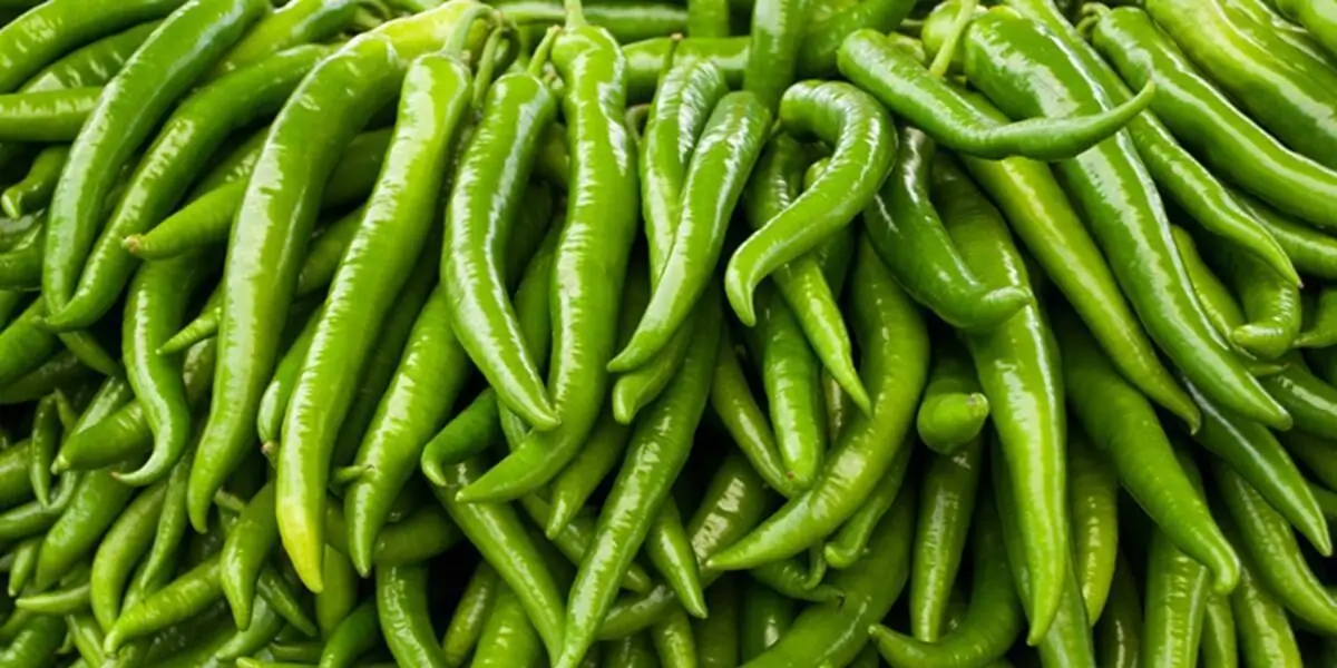 green chilli (1) (1)