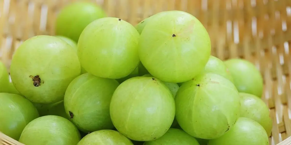 amla (1)