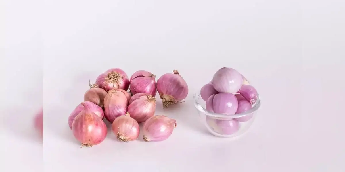 small onion (2) (1)