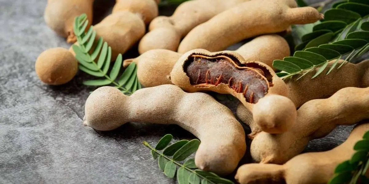 tamarind (4) (1)