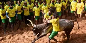 2025 jallikattu