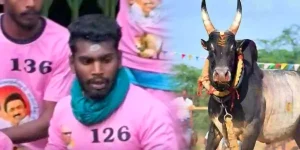 2025 jallikattu Competition