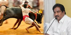 Minister Moorthy say about Jallikattu