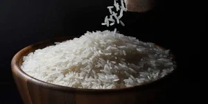 Rice (3) (1)