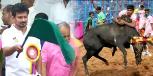 alanganallur jallikattu