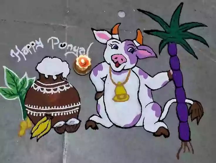 cow pongal