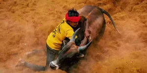 jallikattu 2025