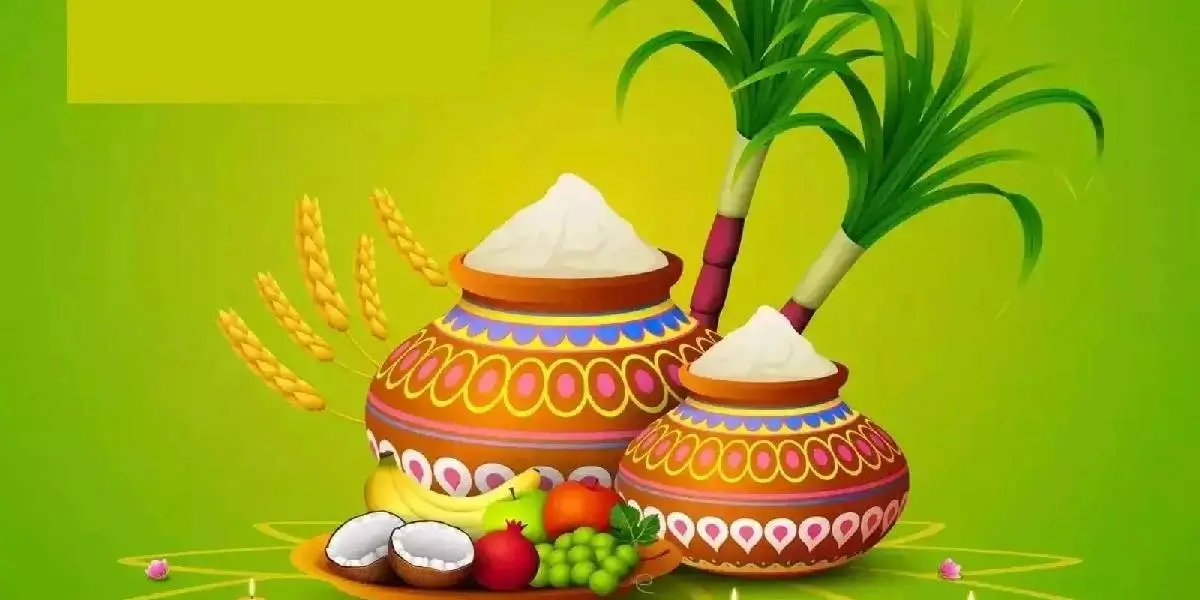 pongal (1) (1)