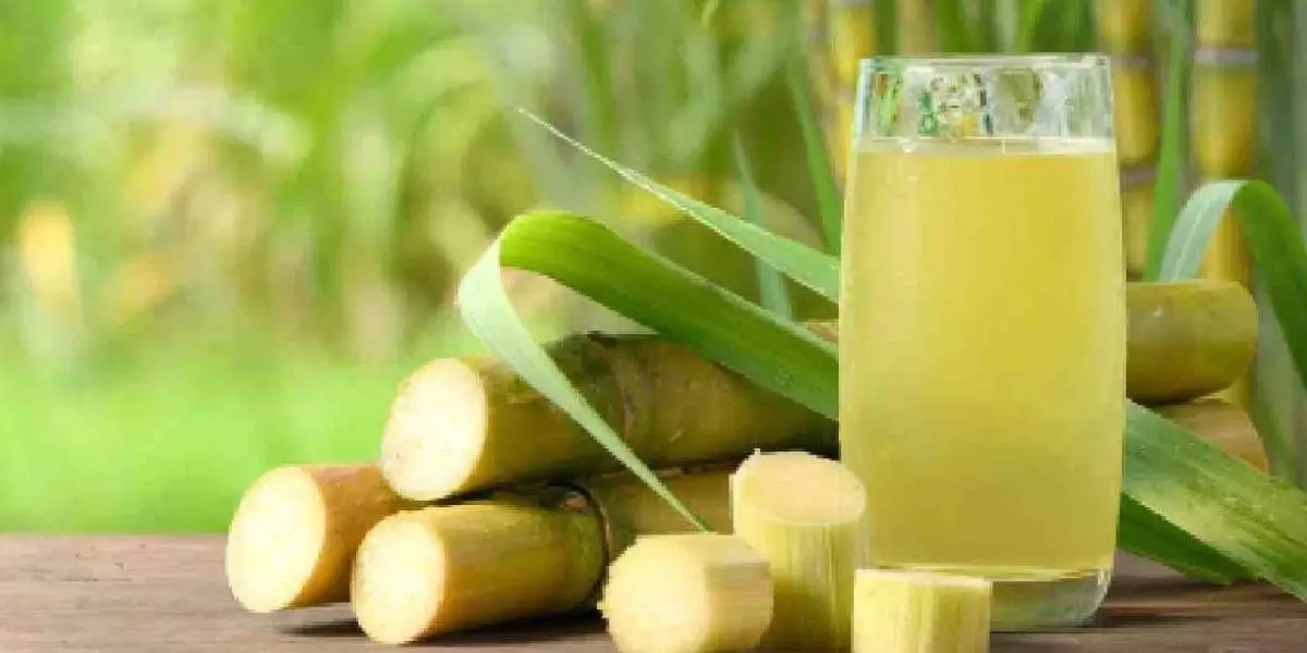 sugarcane juice (1)